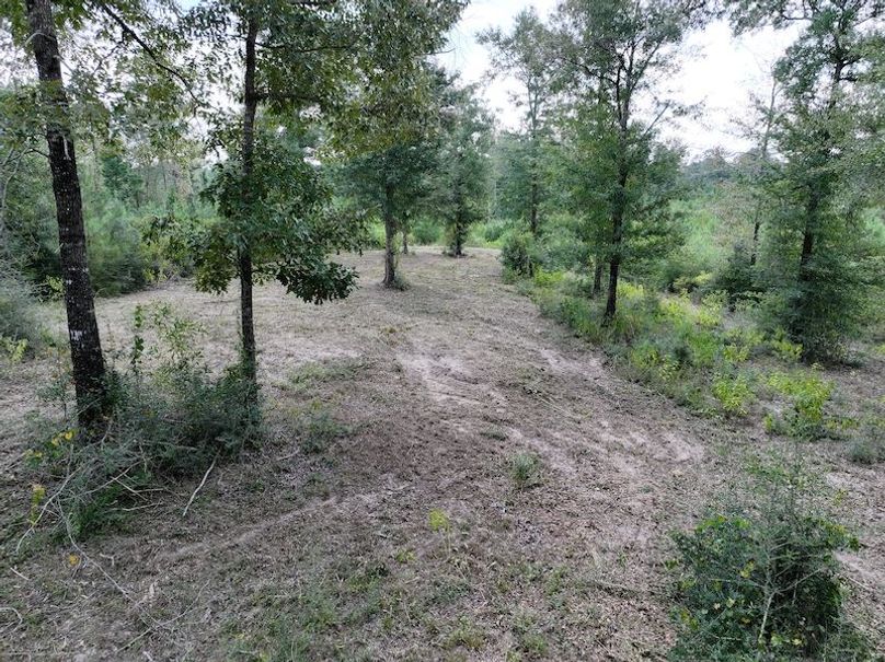 dji_fly_20250915_142302_0449_1758029019322_photo