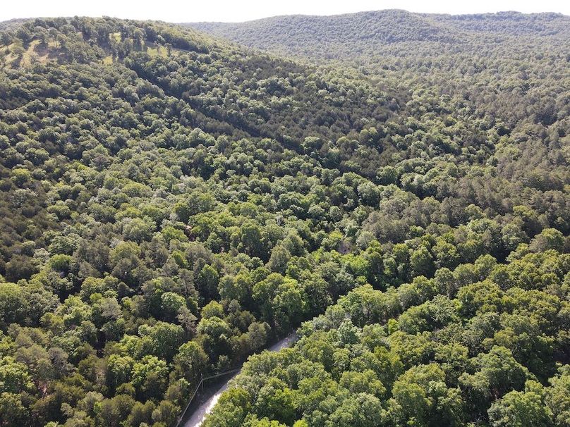 dji_fly_20260514_092450_763_1778768727124_photo