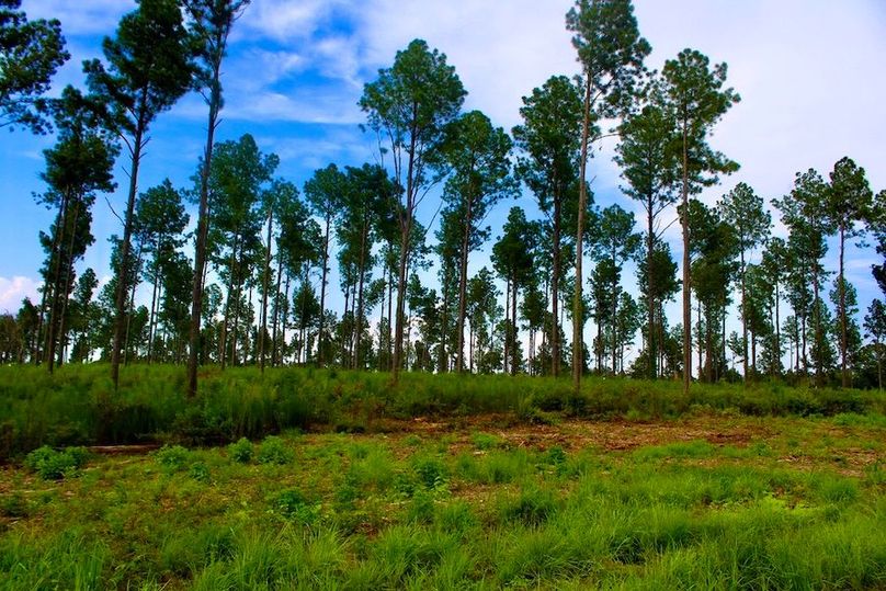 516D46BD-A250-45DC-B6CC-54016D8AFB26_1_105_c