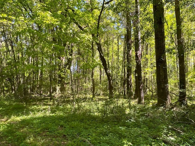 859CC2C4-C9CC-4963-809E-05362FD3152F_1_105_c