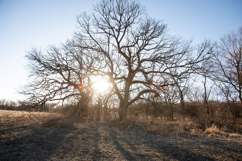 WORTH CO MO 537.44_83