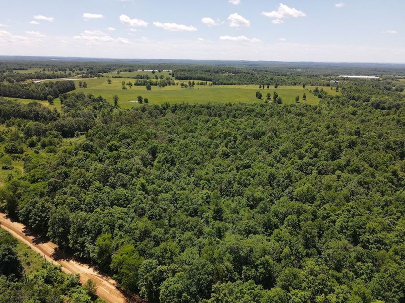 dji_fly_20260507_122138_733_1778174505999_photo