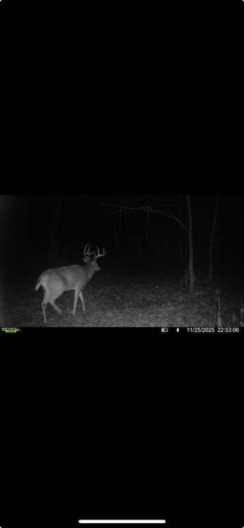 Screenshot 2026-01-06 at 4.31.03 PM