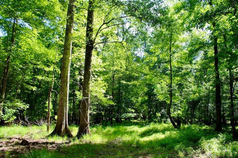 92CA1F84-EA67-4312-BB9B-95C1B5C318DD_1_201_a