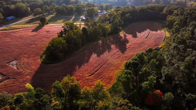 dji_fly_20250917_084952_0515_1758113881611_photo