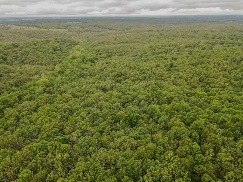 dji_fly_20260519_172628_470_1779229602259_photo