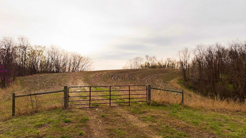 9 DJI_20250331080118_0604_D