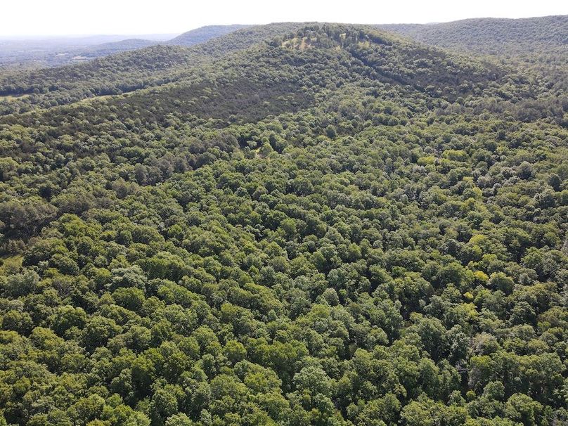 dji_fly_20260514_092726_776_1778769025649_photo