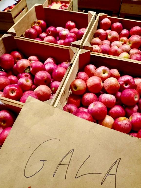 Apples(1)