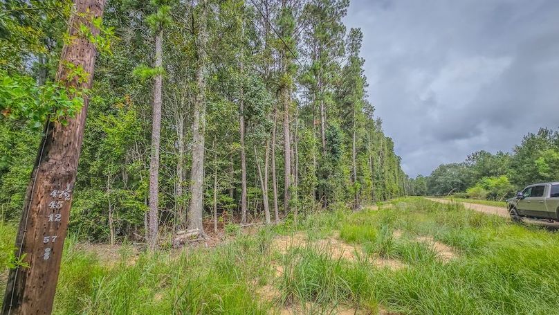 Copy of 20240905_144938