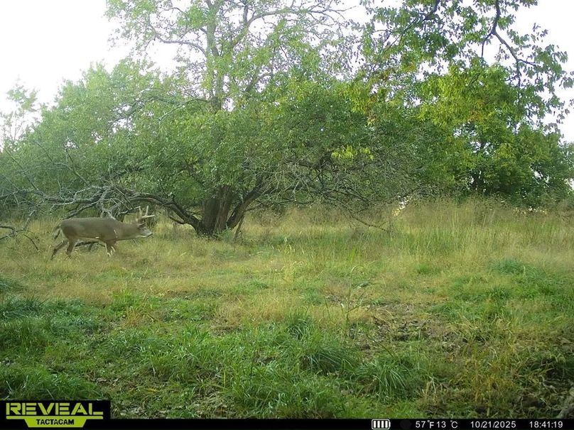 860322065943430-100-3-10212025223213-HD-SYEW8383