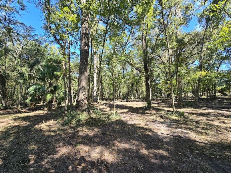 7.8ac, Citrus, Andrew Goering13