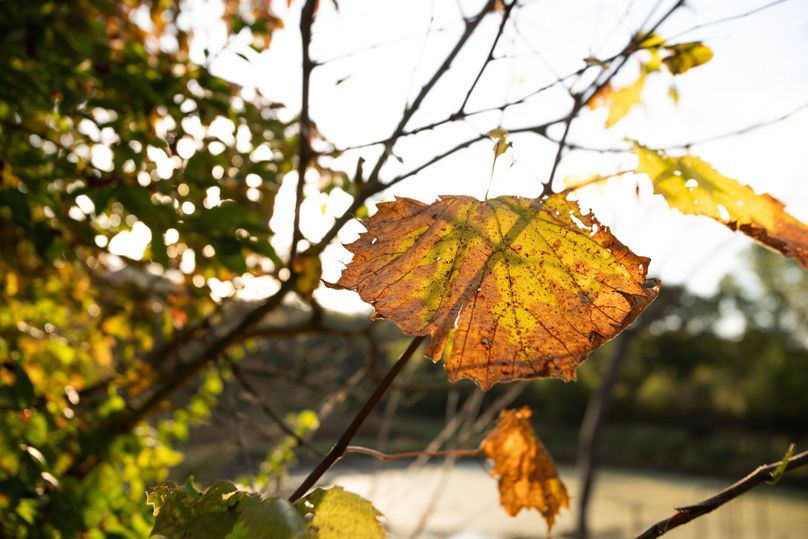 FREMONT CO. IA 158.32_46