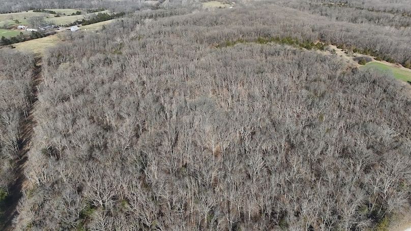 DJI_20250316085944_0038_D