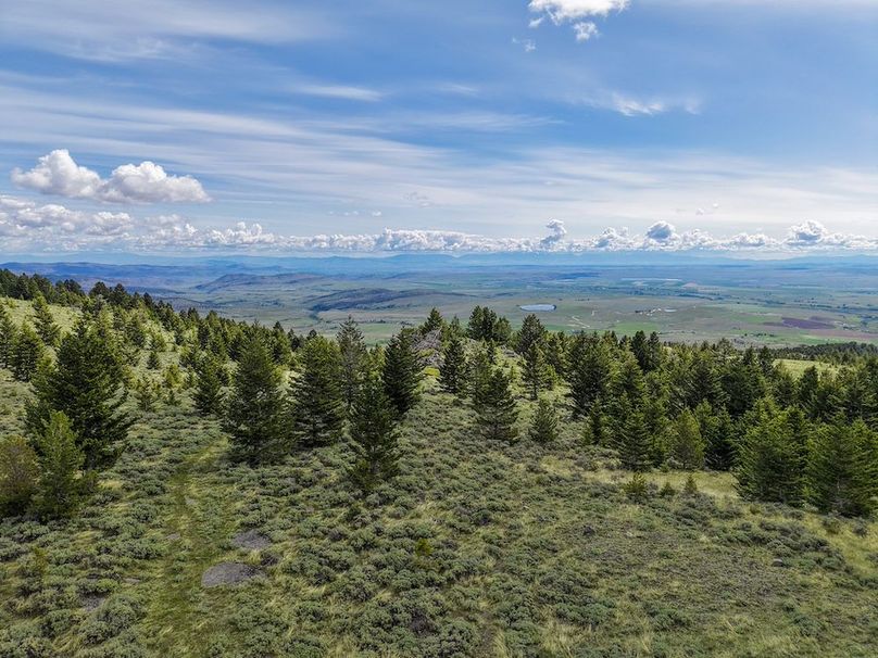 20250604105055_0080_D