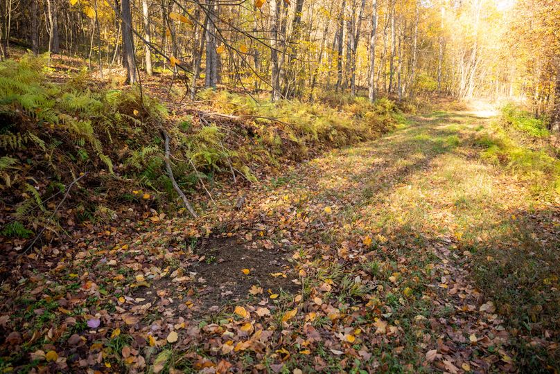 Elk PA 7000 Feature_Pro Photo-96