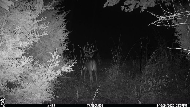 trail cam2