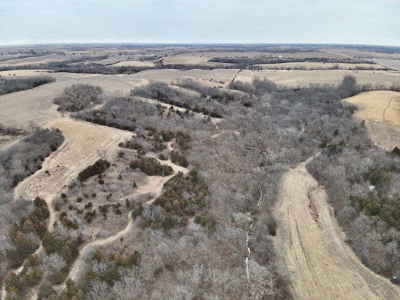 723116FD-8B5A-4FDB-B9D4-1DF84A3FCDE6_1_201_a