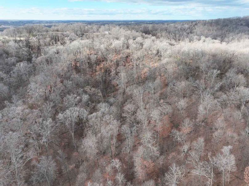 DJI_20251126165053_0332_D