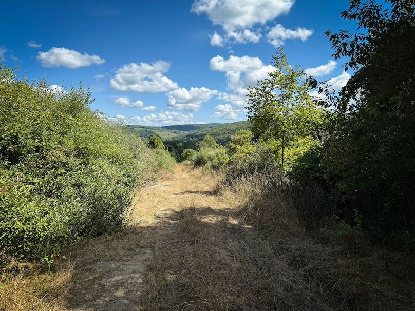 Tioga NY 232.62 Shores Photos 14