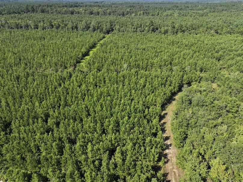 DJI_20240820164121_0022_D