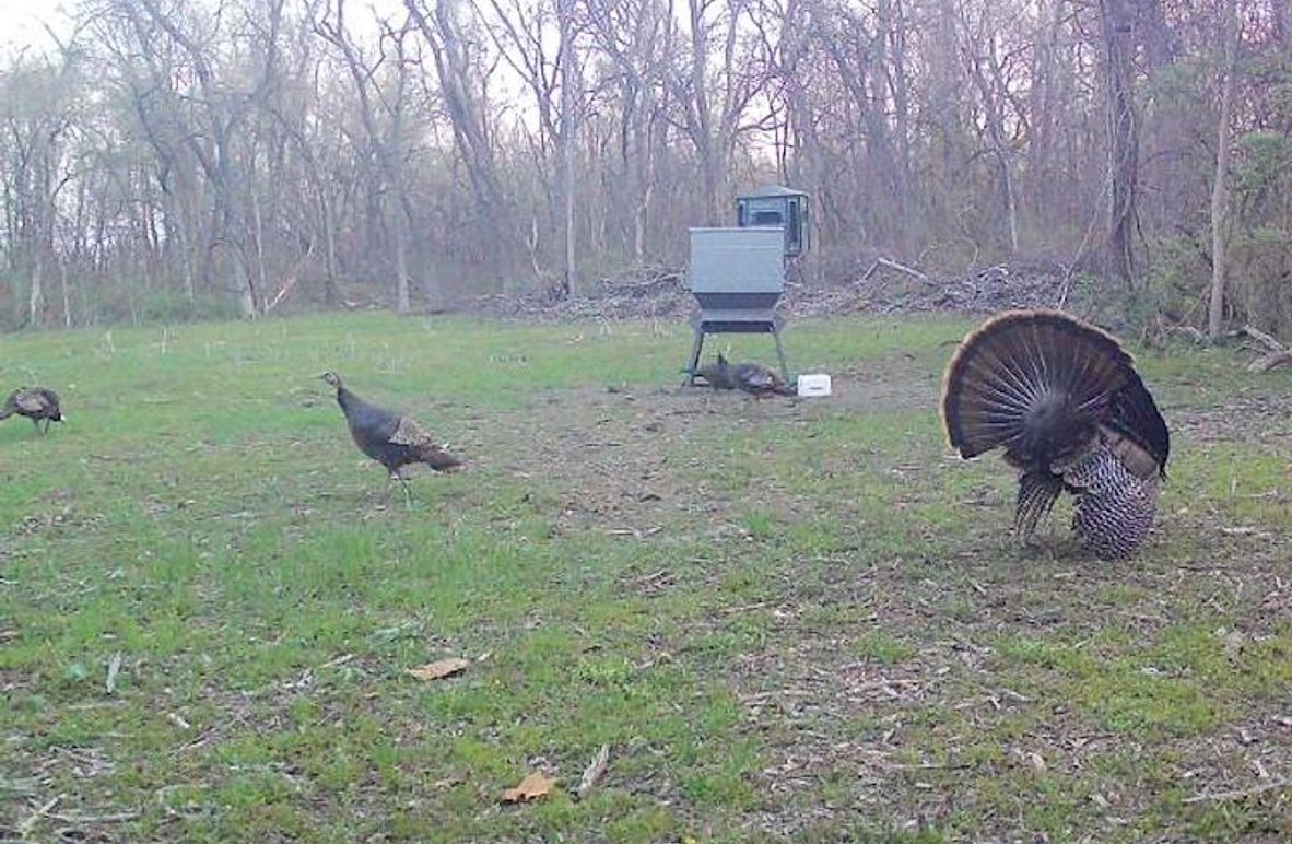 868032066783220-100-4-03282025070322-W1002606