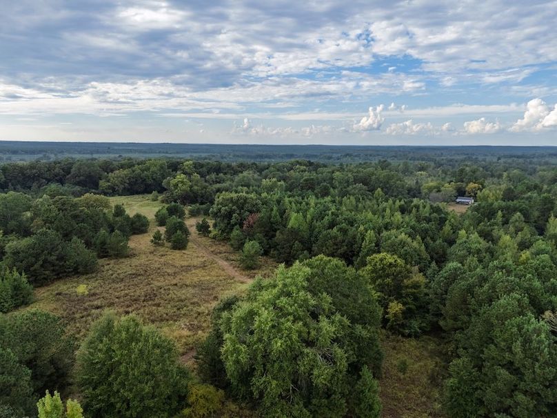 24 Edited Harison co. 206 - Ed Robb-091