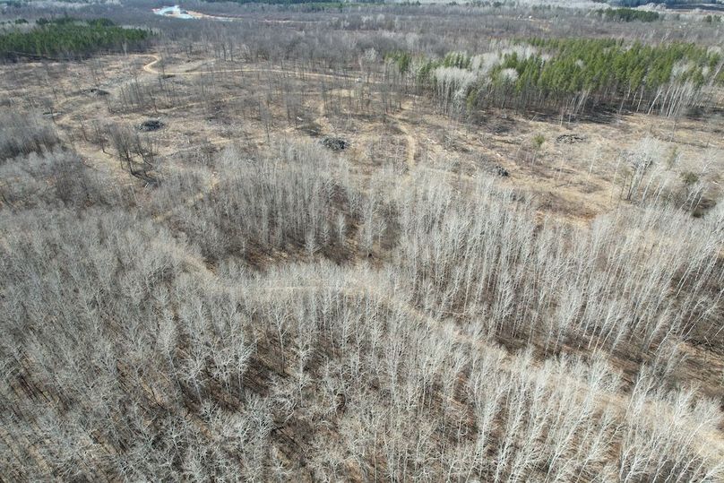 dji_fly_20260415_161620_165_1776287997709_photo