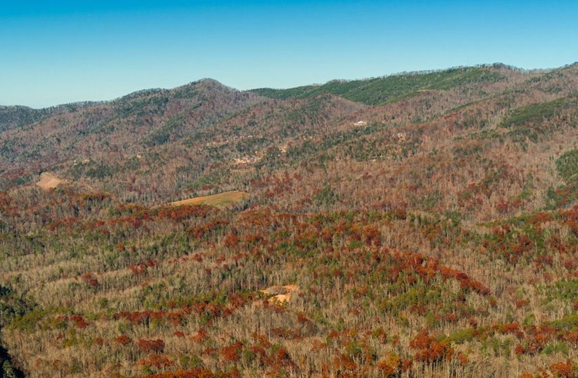 Blackberry Mountain Resort directly across the road on North side