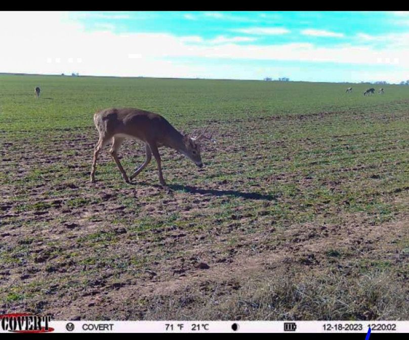 Screenshot_20231218_124919_CovertWireless