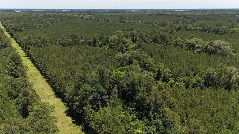 dji_fly_20250528_020422_0043_1748386796442_photo