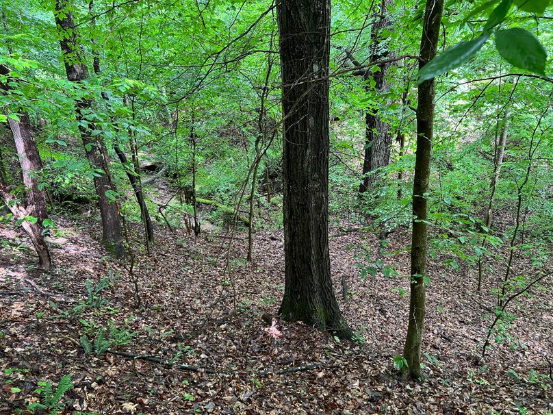 Wirt, WV 150.75 AC Tinnell-12