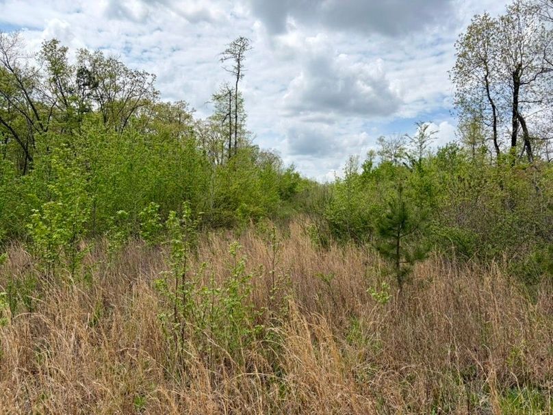 846E05C5-36BD-44F3-89BF-617DA2A7A4B7_1_105_c-2