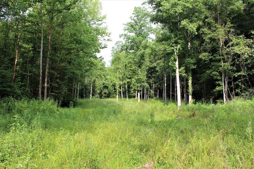 011 one of the hidden valley food plot areas ready to be mowed and planted