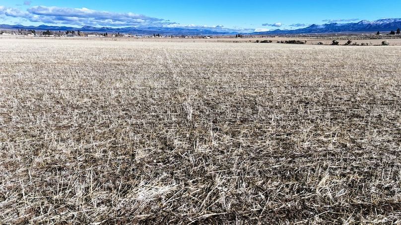 Panguitch City Farm17