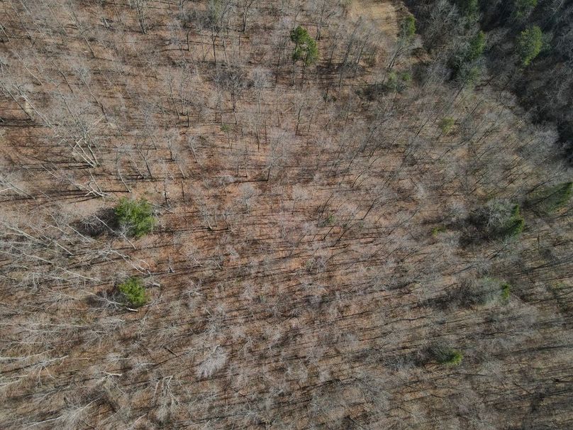 026 top down view of the ridge top timber-2