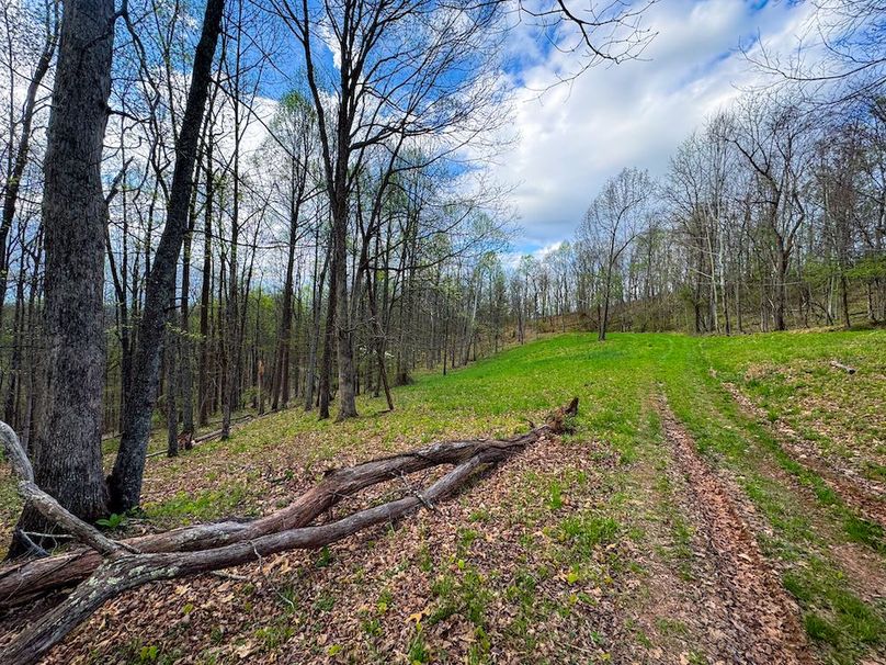 Calhoun, WV 132.84 AC Szegi 2-117