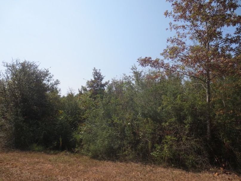 C2CE87D3-2FC2-4CFE-BEE3-53FE0B6EC43F_1_105_c