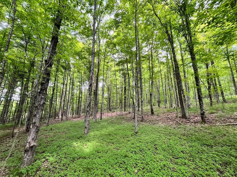 Tioga_78_Biada_Photos_37