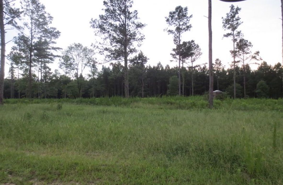 CC7BAD42-20C1-4458-9E74-A9E1179B0141_1_105_c