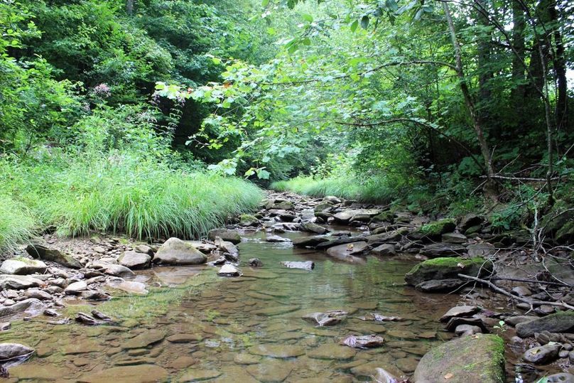 019 year-round stream along the northeast portion of the property