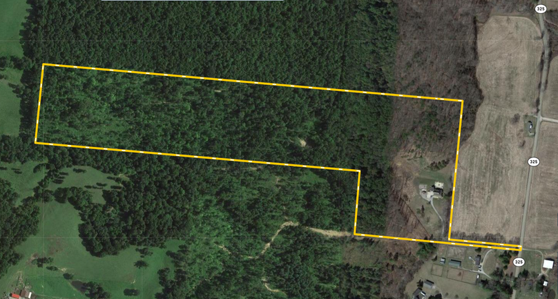 Screen Shot 2022-02-17 at 2.48.12 PM