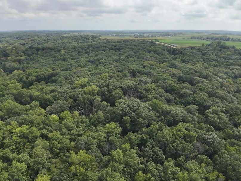 DJI_20240815153803_0021_V