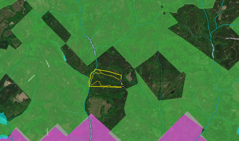 Jasper 90 acres map3
