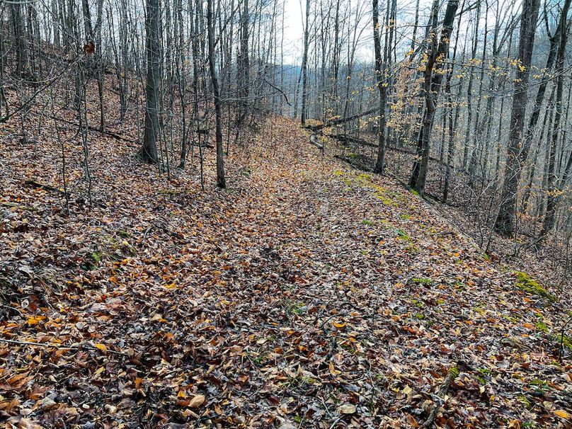 Calhoun, WV 225.69 AC Duffield-75