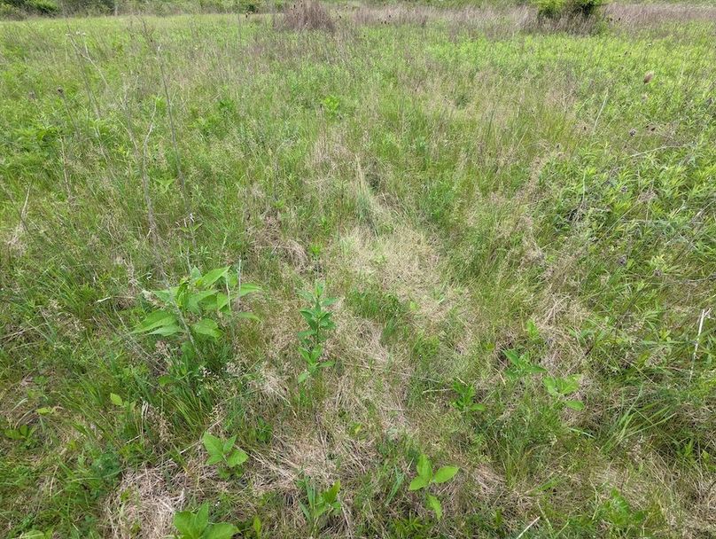 PXL_20240515_154736080