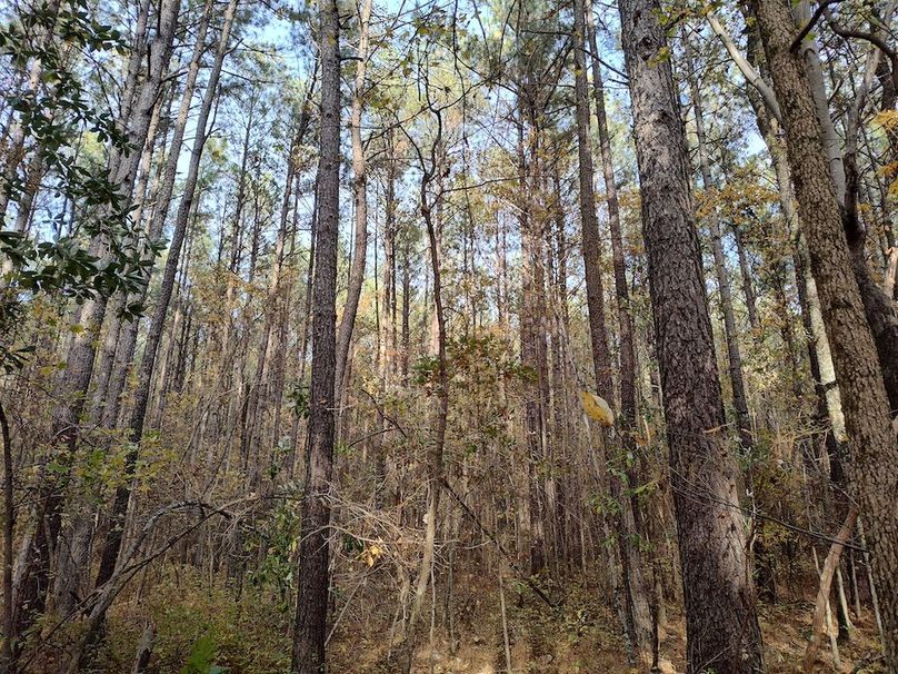 IMG_20251105_145255584_HDR