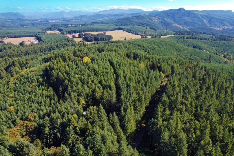 Valley HR