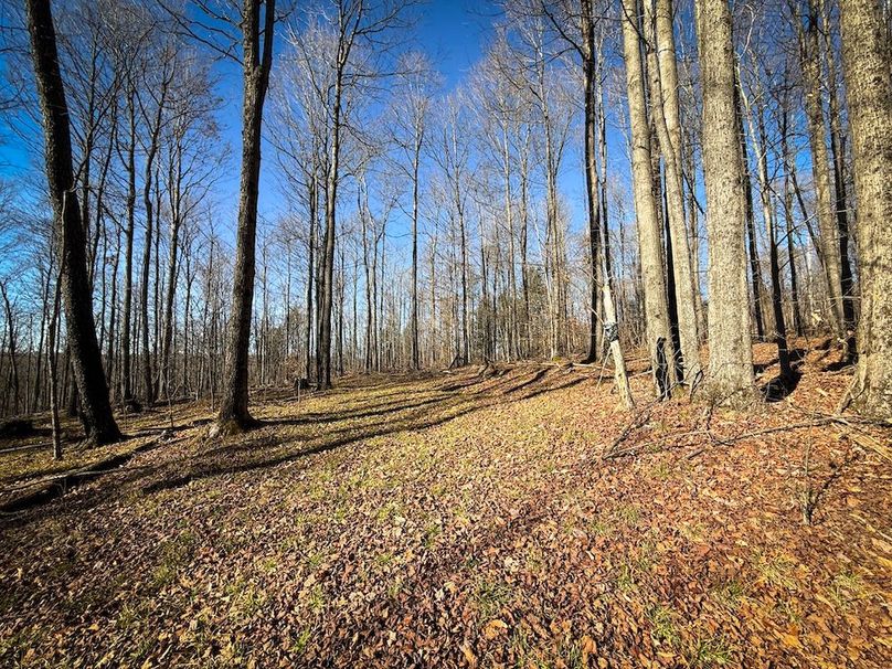 Chemung_31.75_Seymour_South_Photos_16