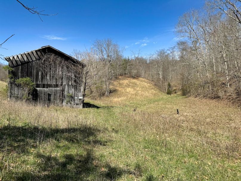 024 great view from the old back porch